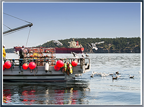 Lobster Fishing Accident