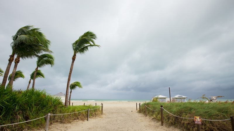 Hurricane Matthew and tropical storm.