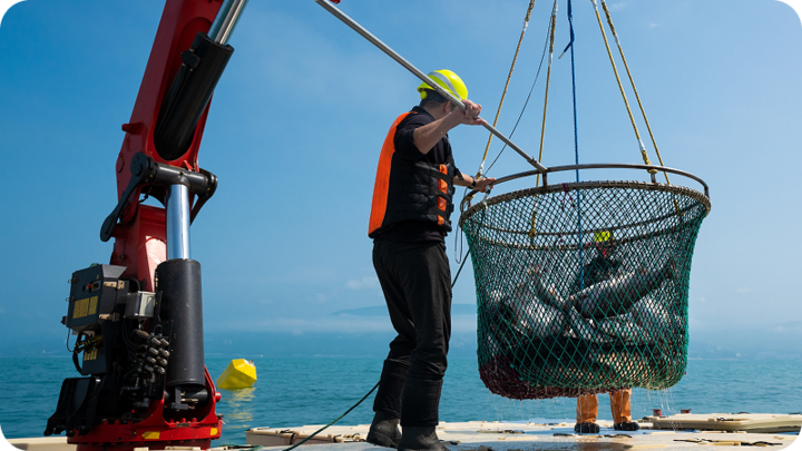 Commercial Fisherman Maritime Injury Attorney