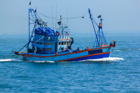 shutterstock 1189751623 scaled e1768352455835