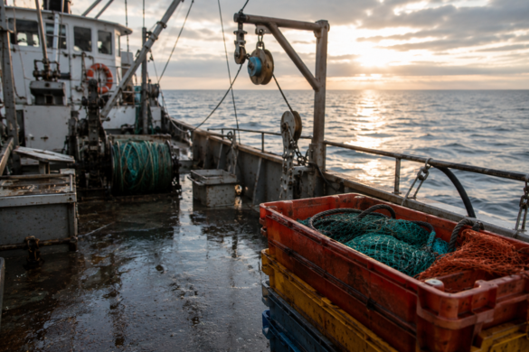 ones Act Lawyer After a Fishing Boat Accident